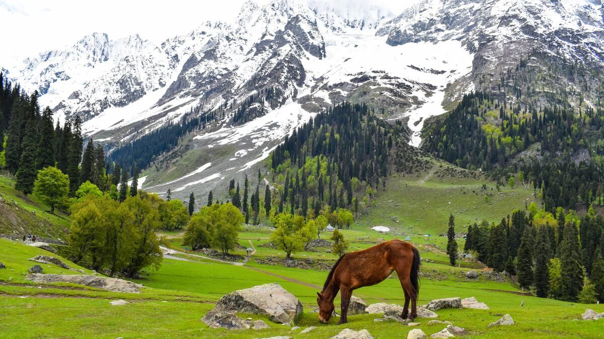 explore-the-majestic-kashmir-a-complete-tour-guide-by-vista-world-tours-from-hubli-thumbnail